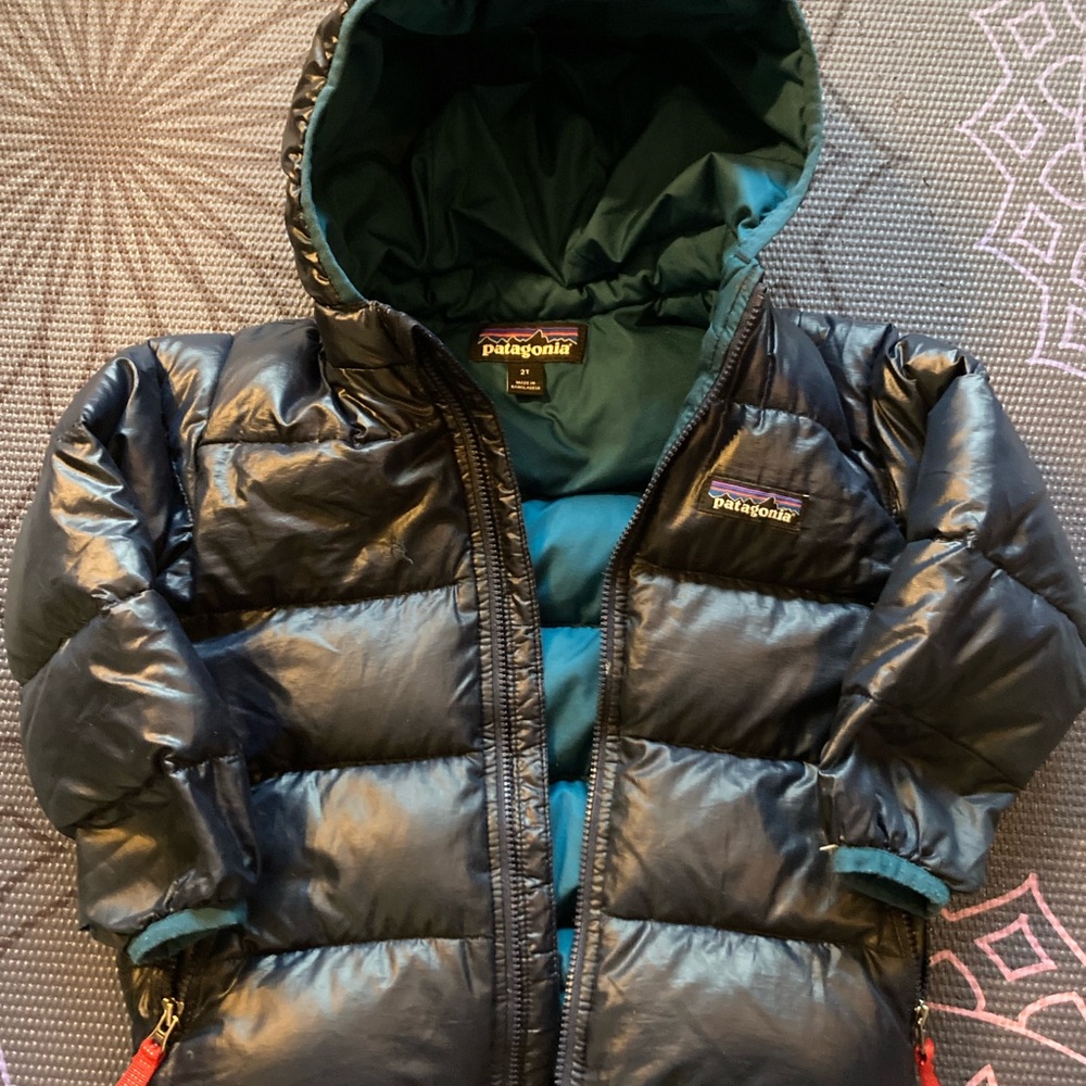 Patagonia Black and Teal Puffer Jacket